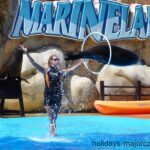 Seal jumping through a hoop at Marineland Majorca
