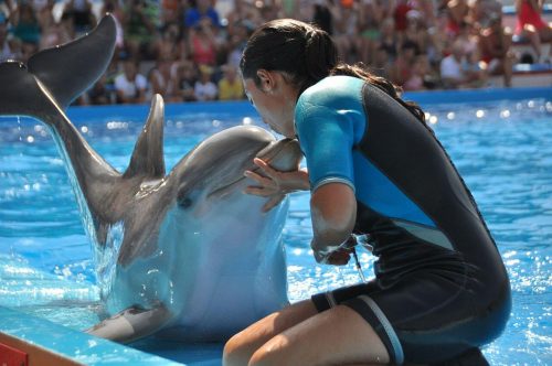 Instructor kisses dolphin at Marineland Majorca