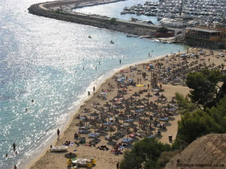Puerto Portals view from the cliffs above showing beach and port