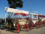 Horse drawn carriages in Sa Coma Majorca