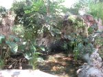 Small ornamental pond and waterfall at the Alfabia gardens in Majorca