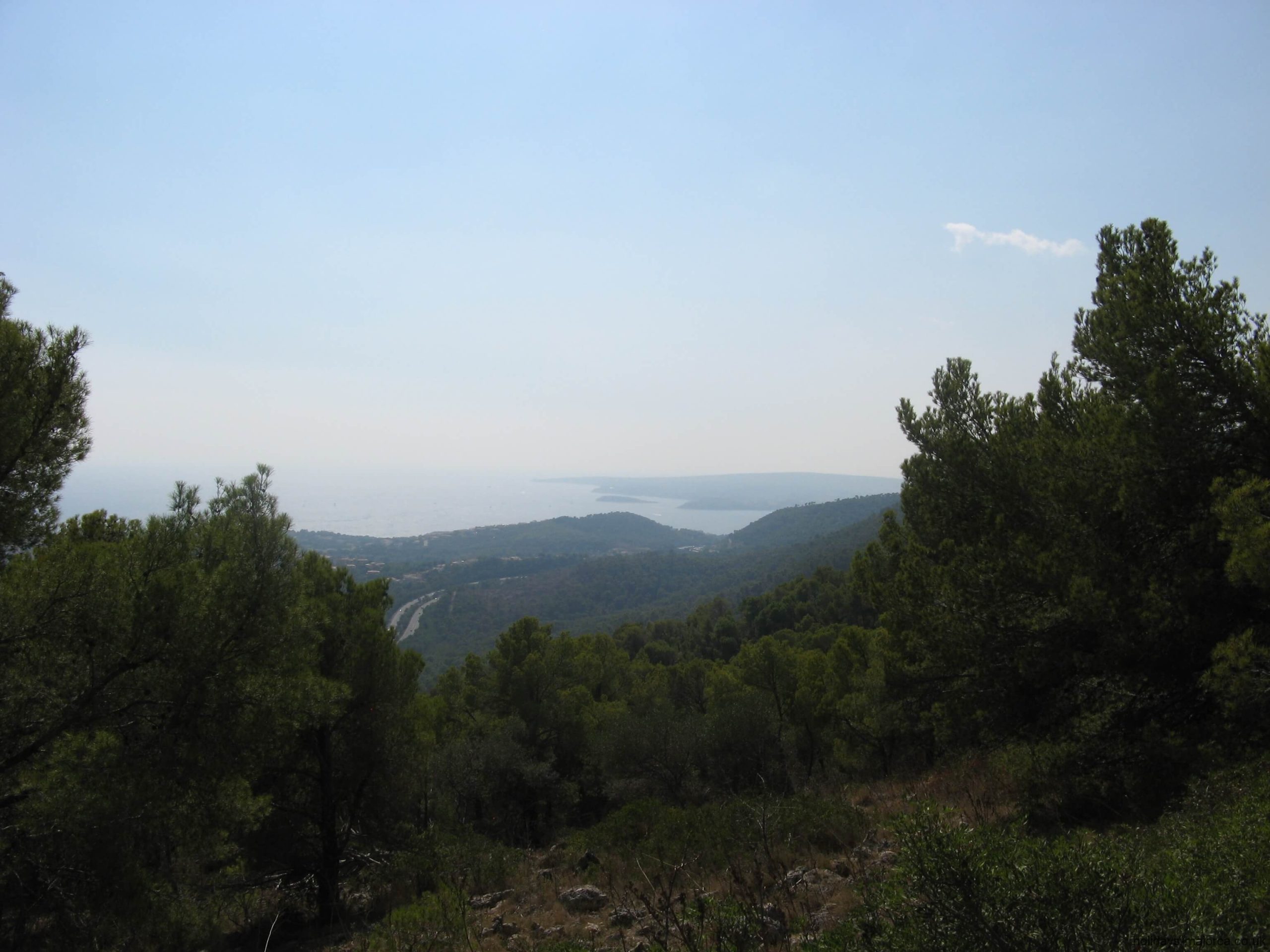 View from Na Burguesa over Magaluf bay Majorca