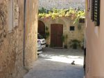A cat resting down an alley in Calvia Majorca