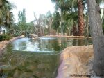 A pool with cascading waterfall at Golf Fantasia in Palma Nova Majorca