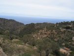 Countryside views of Deia Majorca