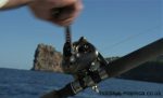 Sea fishing reel Majorca